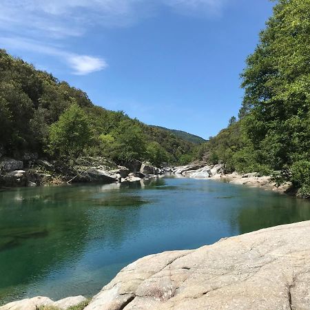 Chambre D'Hote Lavande - Le Soleil Des Cevennes Saint-Jean-du-Gard Εξωτερικό φωτογραφία
