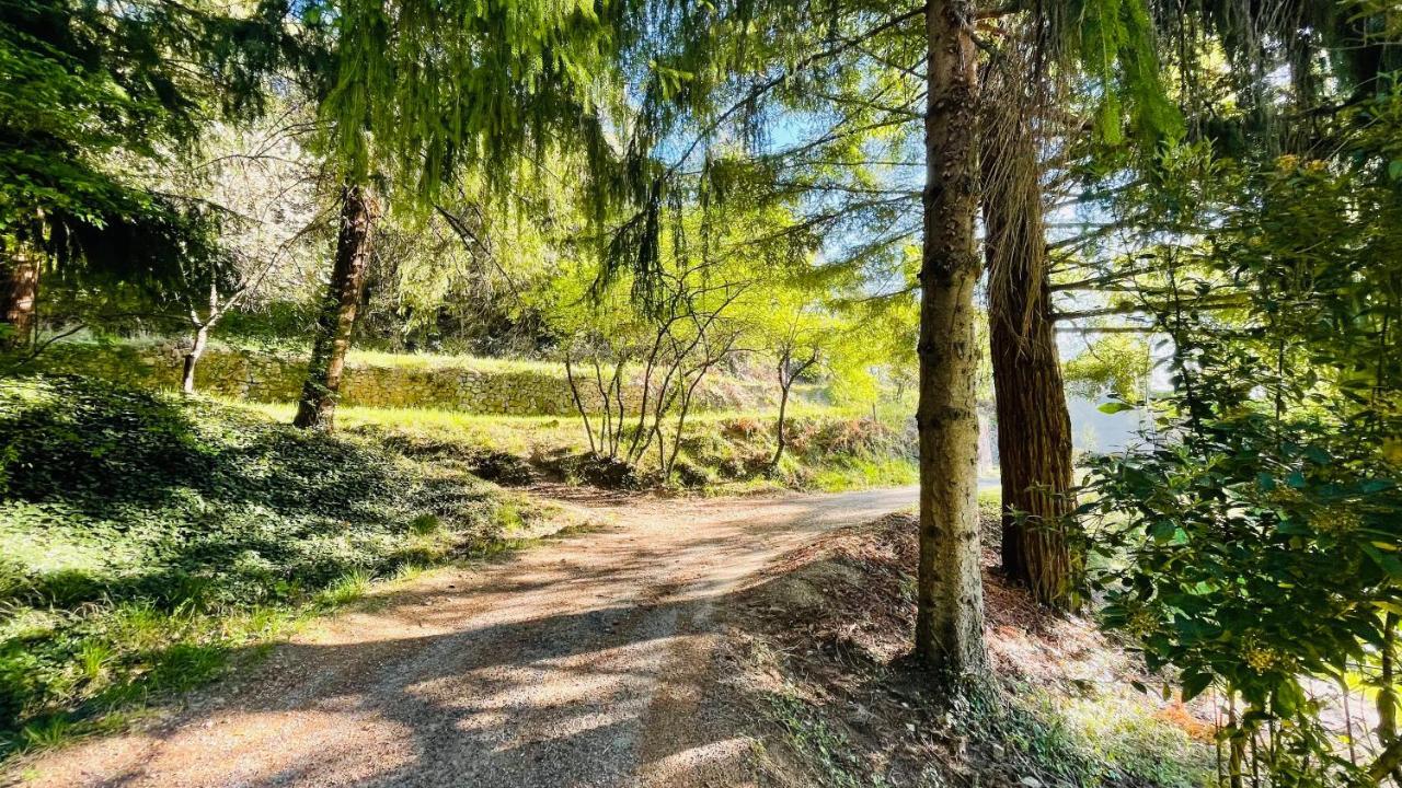 Chambre D'Hote Lavande - Le Soleil Des Cevennes Saint-Jean-du-Gard Εξωτερικό φωτογραφία