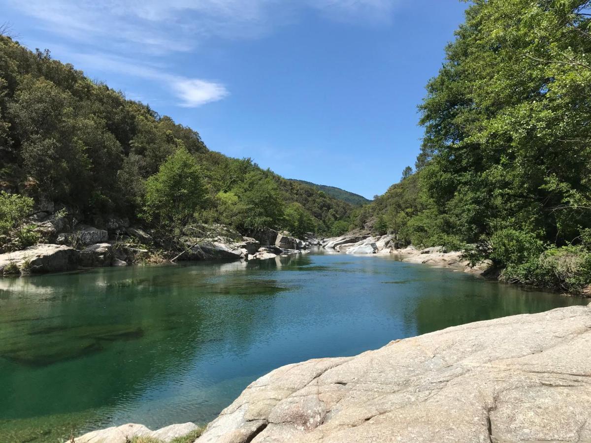 Chambre D'Hote Lavande - Le Soleil Des Cevennes Saint-Jean-du-Gard Εξωτερικό φωτογραφία