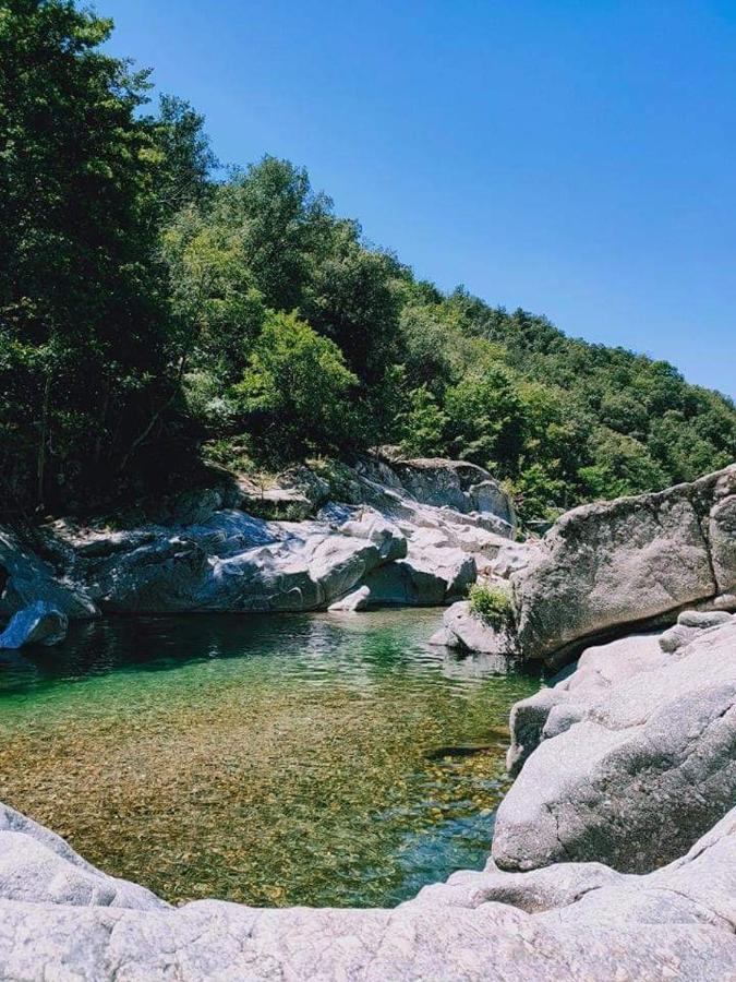 Chambre D'Hote Lavande - Le Soleil Des Cevennes Saint-Jean-du-Gard Εξωτερικό φωτογραφία